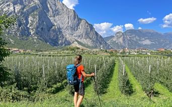 Hiker with blue backpack and walking poles in apple orchard rows with dramatic limestone cliffs and village of Pietramurata in background.