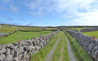 Wanderroute Irlands Western Way