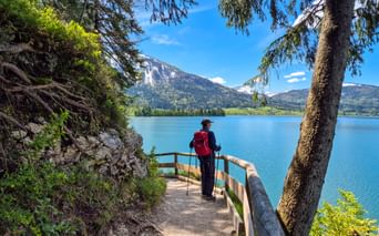 Hiker with red backpack on lakeside path at Wolfgangsee, Salzkammergut. Wooden railing borders the trail with mountains and blue water visible.