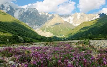 Der Berg "Schkhara" in der Region Swanetien