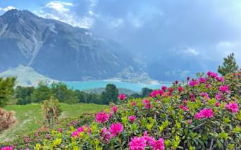 Panoramablick auf den Reschensee