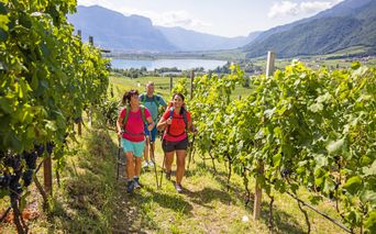 Wanderer wandern entlang der Weingärten mit Blick auf den Kalterer See