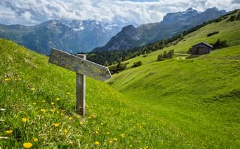 Landschaftsbild Abstieg Trins