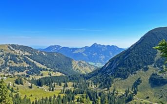 Blick auf ein Tal in den bayerischen Alpen mit bewaldeten Hängen, grünen Wiesen und fernen Berggipfeln unter blauem Himmel.