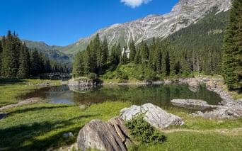 Obernberger See with rocks and grass in foreground, surrounded by coniferous forest. Layered mountain cliffs rise behind under blue sky.