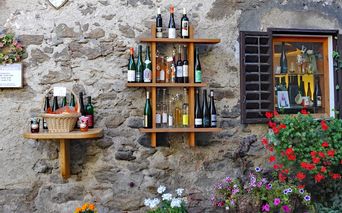 Wein und Genuss beim Wandern in der Wachau