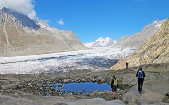 Wanderer vor dem Aletschgletscher