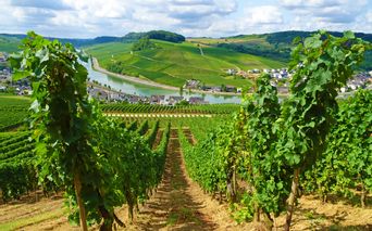 Breathtaking panorama in Nittel on the Moselle