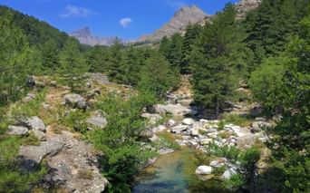 Blick auf einen Fluss auf dem Wanderweg in Evisa