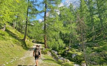 Hiker on the hiking trail near the Bachlalm