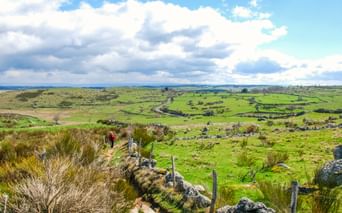 Wanderpfad in "Plateau de l'aubrac"