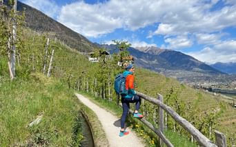 Hiker enjoys the view of the vineyards of the Etsch Valley