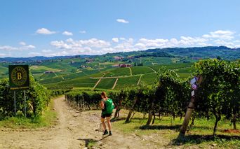 Wanderwege durch Weingärten