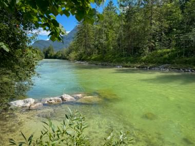 Clear turquoise river with rocks flowing through forest in Salzkammergut. Mountains visible in background under blue sky with green trees lining banks.