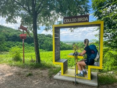 Female hiker with backpack and walking poles sitting in yellow photo frame marked 'Collio Brda', overlooking green vineyards and hills.