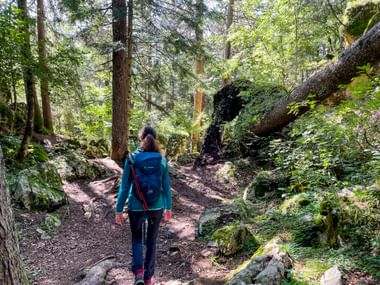 Hiker on the forest path