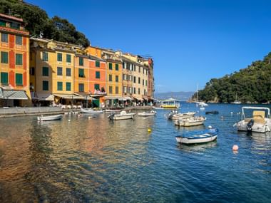 Portofino harbor with small boats moored in blue water, colorful buildings along the waterfront, and green hills under clear sky.