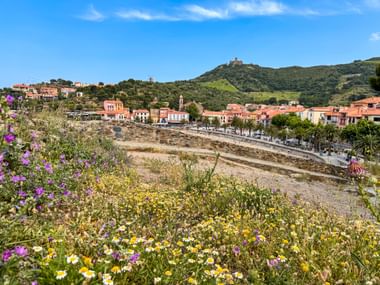 Blick auf Collioure mit bunten Häusern entlang eines trockenen Flussbetts, grünen Hügeln im Hintergrund und Wildblumen im Vordergrund.