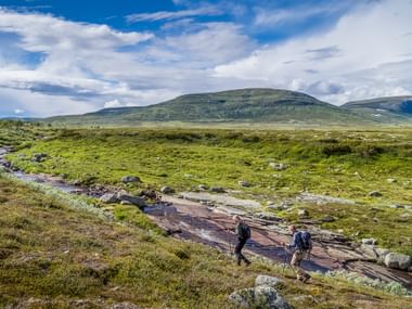 Zwei Wanderer mit Rucksäcken überqueren einen felsigen Bach in Funäsfjällen, Schweden. Grüne Tundra und sanfte Berge unter blauem Himmel.