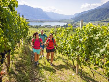 Wanderer inmitten der Weingärten am Kalterer See
