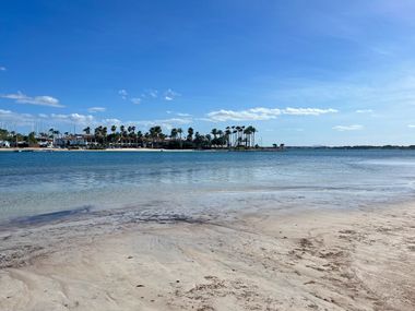 Sandy beach in Alcudia with a view of palm trees