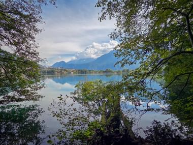 View of Lago di Levico framed by green tree branches, with calm blue water reflecting mountains and clouds. Distant shoreline and peaks visible.