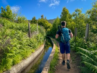 Wanderer unterwegs auf Wanderweg durch die Wälder Madeiras