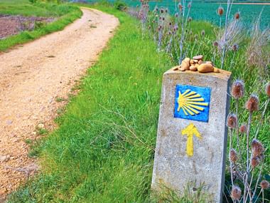 Stone waymarker pillar with blue scallop shell symbol and yellow arrow pointing along dirt path through green countryside with thistles.