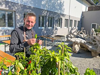 Gemüseernte frisch aus dem Hochbeet