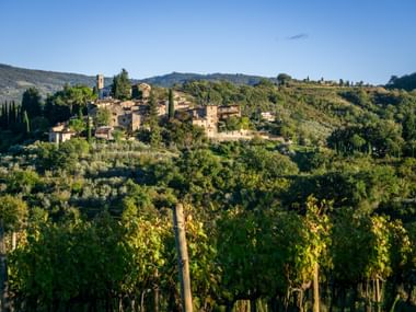 Montefioralle Dorf mit Steingebäuden auf einem Hügel in der Toskana, umgeben von Weinbergen, Olivenhainen und Zypressen unter blauem Himmel.
