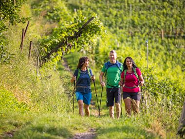 Drei Wanderer inmitten der Weinberge, sonniges Wetter, gute Laune