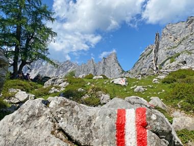 Neue Vorsätze und Perspektivenwechsel