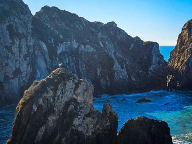 Weißer Storch auf Felsformation bei Azenha do Mar. Dramatische Küstenklippen rahmen blaues Meerwasser im Alentejo, Portugal.