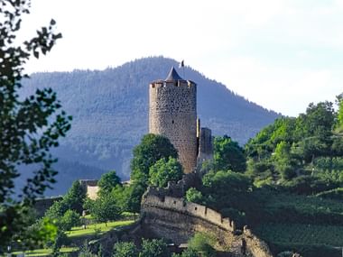 Steinturm mit Kegeldach auf Hügel im Elsass, umgeben von Weinbergen und grünen Bäumen, mit bewaldeten Bergen im Hintergrund.