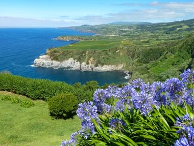 Panoramablick auf die Insel 