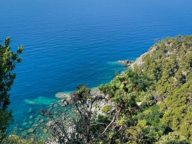 Deep blue Mediterranean Sea with rocky coastline and green vegetation in Cinque Terre. Clear turquoise water near the shore.