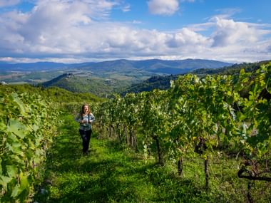 Frau wandert durch grüne Weinbergreihen in der Toskana bei Castello Vicchiomaggio, mit sanften Hügeln und Bergen unter blauem Himmel.