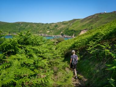 Wanderin geht einen Pfad durch üppige grüne Farne hinunter zu einer Küstenbucht mit blauem Wasser und grünen Hügeln unter klarem Himmel.