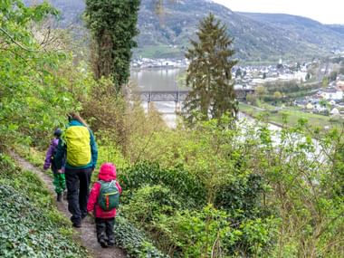 Etappe 1 Reil nach Bullay Wanderpfad