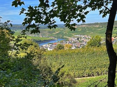 View of Nittel through the trees
