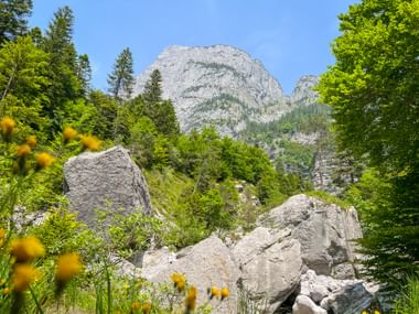 Pradel in Südtirol mit Blumen