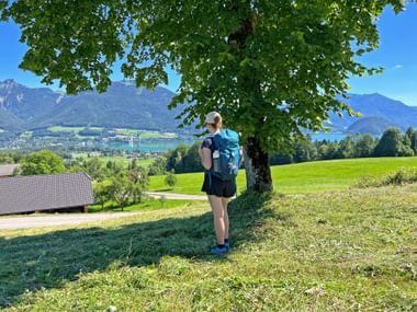 Beautiful meadow paths with a view of Lake Wolfgangsee Beautiful meadow paths with a view of Lake Wolfgangsee
