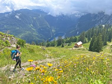 Schöne Blumenwiese vor dem Gosaukamm
