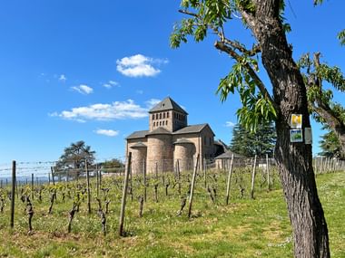 Schloss Johannisberg mit Turm umgeben von Weinbergreihen unter blauem Himmel. Bäume rahmen das historische Gebäude am Rheinsteig.
