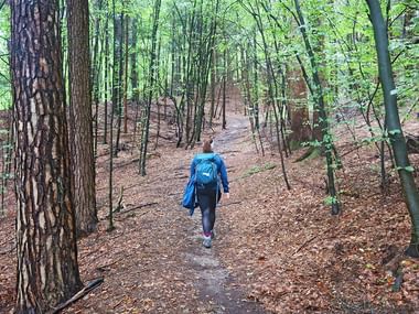 Wanderer im Wald am Rundwanderweg Berge und Seen