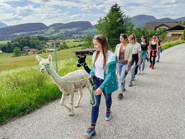 Customer service staff on the alpaca hike