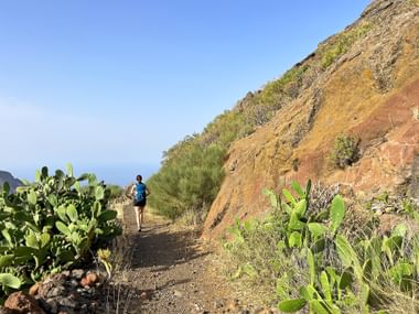 Hiker on dirt trail along steep rocky slope with prickly pear cacti. Ocean visible in background under clear blue sky on Tenerife.