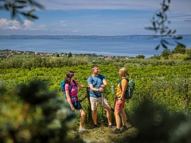 Wanderer am Gardasee