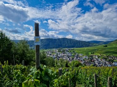 Steig am Weinberg Ellenz nach Poltersdorf