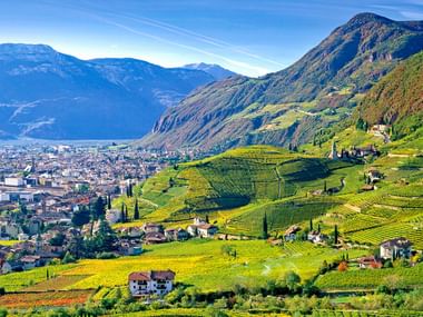 Panoramic view of terraced vineyards in South Tyrol with scattered houses, overlooking a valley town surrounded by mountains under blue sky.